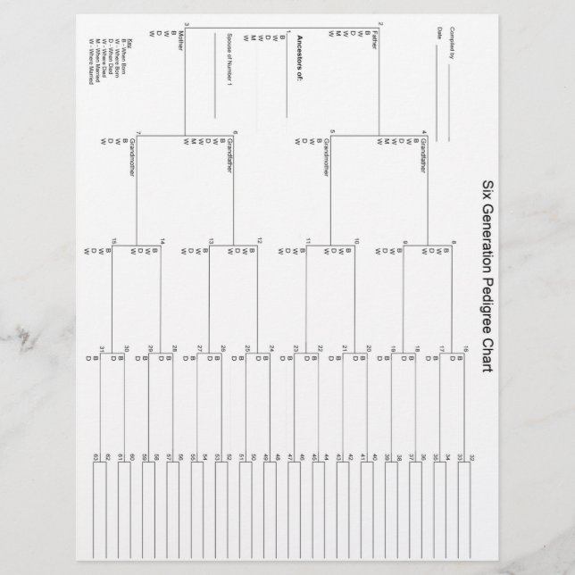 Papier Pedigree de six générations (Devant)