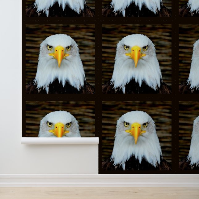 Papier Peint Aigle à tête blanche américaine (Application)