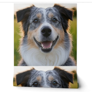 Papier Peint Ajouter une Personnaliser photo pour animaux domes