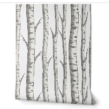 Birch : Inspiré par la nature