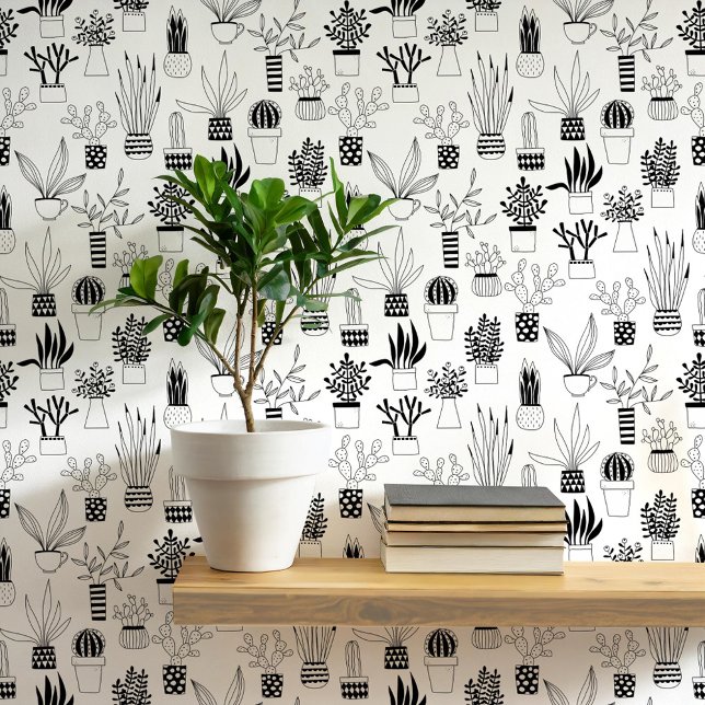Papier Peint Cactus Succulent Art noir et blanc (Cactus cacti succulent house plant black and white art wallpaper)