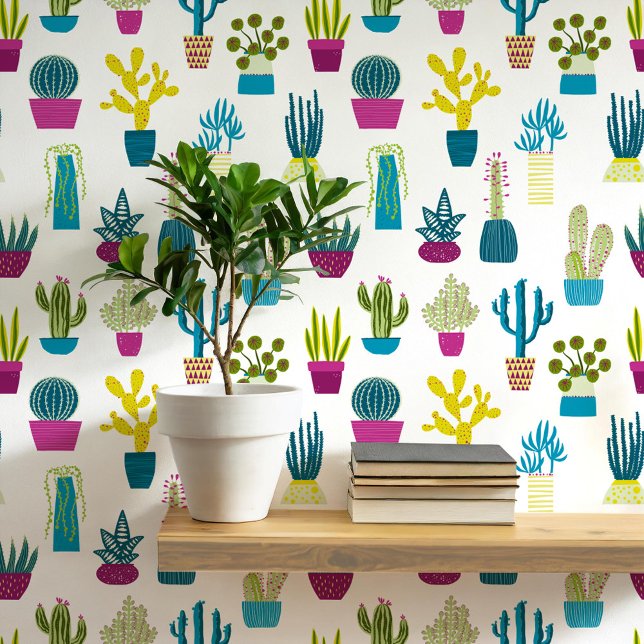 Papier Peint Cactus Succulent Maison Plante Art (Cactus succulent houseplant art wallpaper)
