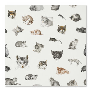 Papier Peint Chats Kittens Mice Chat Lady Chinoiserie Toile