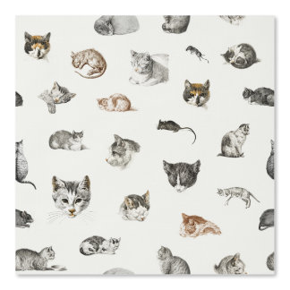 Papier Peint Chats Kittens Mice Chat Lady Chinoiserie Toile