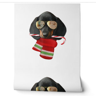 Papier Peint Chemise Dachshund mignon Noël Cadeau Amoureux de l