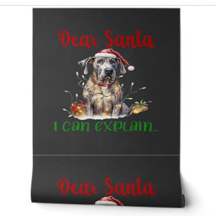 Papier Peint Cher Père Noël, je peux expliquer T-Shirt essentie
