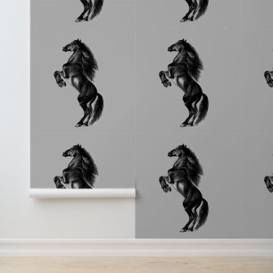 Papier Peint Cheval sauvage noir dressé