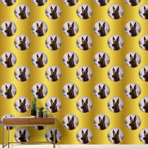 Papier Peint Chien malinois