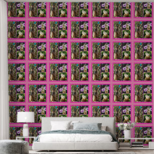 Papier Peint Collage photo de trois photos de Meerkat,