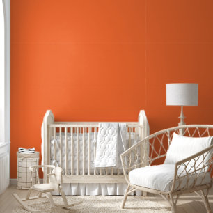 Papier Peint Couleur vive orange brûlée