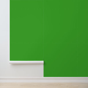 Papier Peint Couleurs éffrayantes - Vert clair