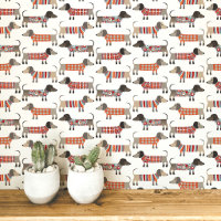 Dachshund Saucisson de Vienne Chien