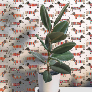Papier Peint Dachshund Wiener Saucisse Chien