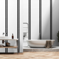 Double Bandes Noires Sur Blanc