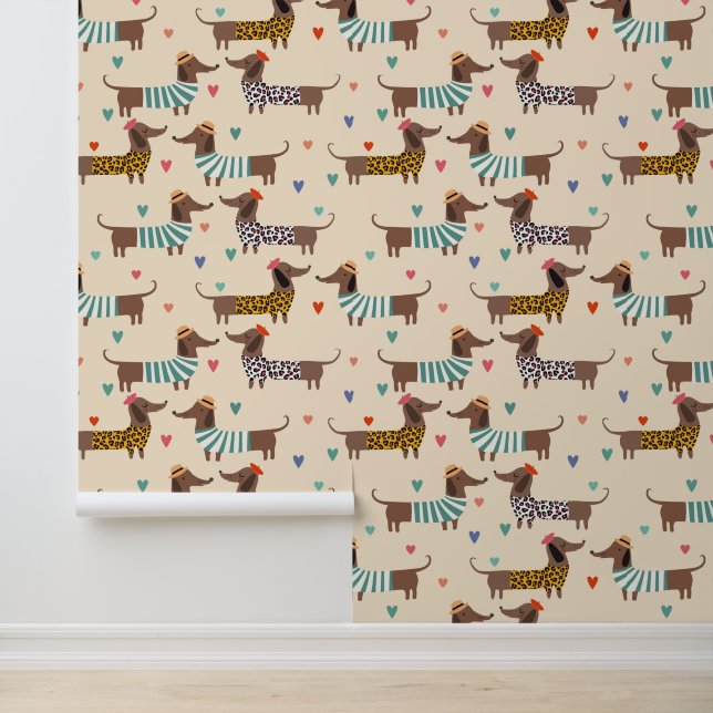 Papier Peint Drôle mignon Chiens Dachshund (Application)