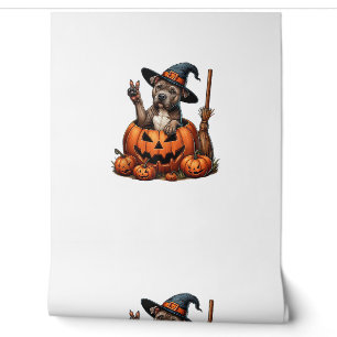 Papier Peint Drôle Pitbull sorcier Citrouille chien Halloween H