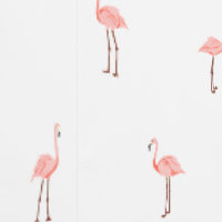 Flamant rose rose