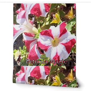 Papier peint floral à pétunias rouges et blancs –