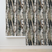 Forêt de troncs de Birch Tree