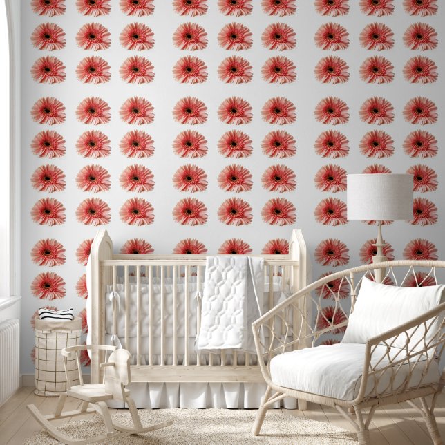 Papier Peint Gerbera Daisy (Enfants)