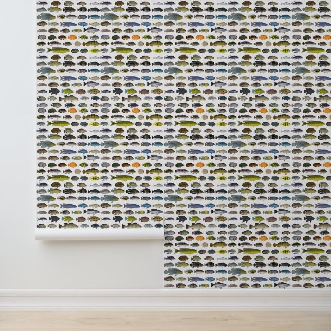 Papier Peint Groupe Cichlid (Application)
