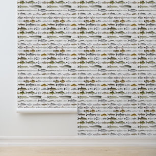Papier Peint Groupe européen du poisson d'eau douce