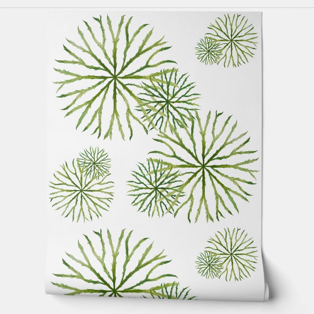 Papier Peint Indian Summer on a  (Déroulement)