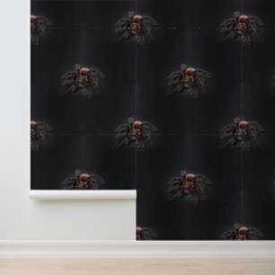 Papier Peint Motif animal cool - mignon araignée 1