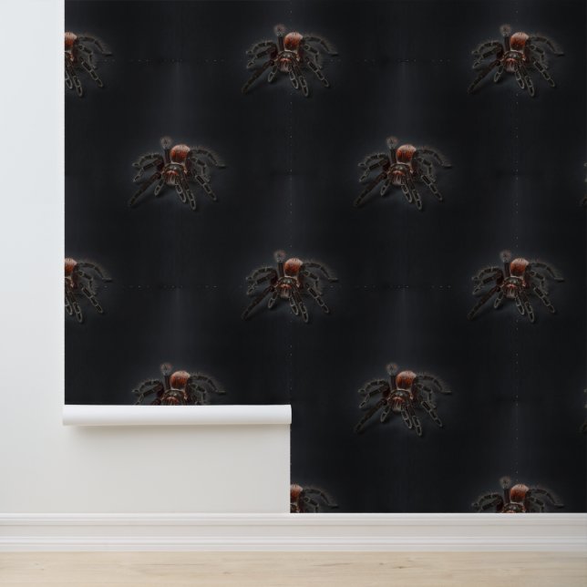 Papier Peint Motif animal cool - mignon araignée 1 (Application)