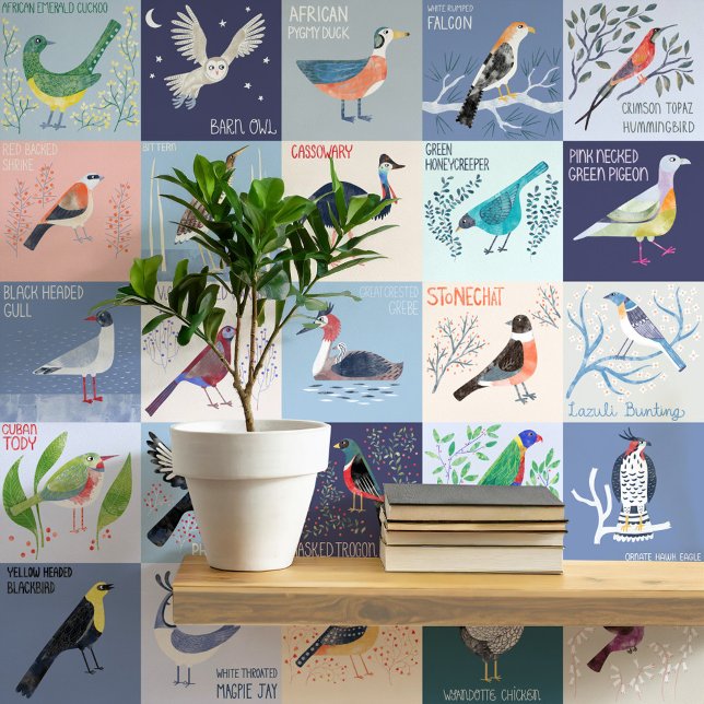 Papier Peint Oiseaux autour du monde aquarelle art (Birds Around the World watercolor art hand lettered peel and stick wallpaper. Art by Nic Squirrell)