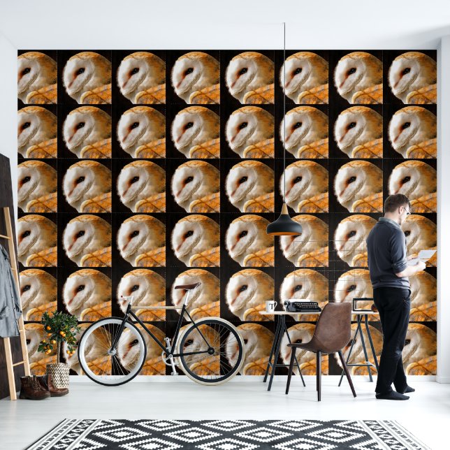 PAPIER PEINT OWLS (Salon)