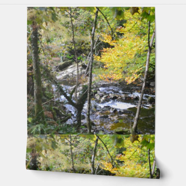 Papier Peint river (Déroulement)