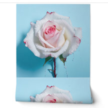 Rose blanc sur arrière - plan bleu turquoise