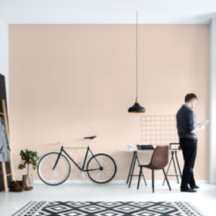 Rose champagne Couleur Uni