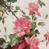 Rose classique & Florales Peel & Stick Beige