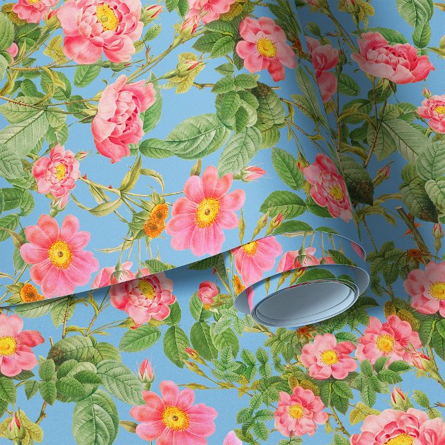 Papier Peint Roses de jardin sur fond d'écran arrière - plan bl (Créateur téléchargé)