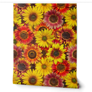 Papier Peint Sunflowers Motif sans couture