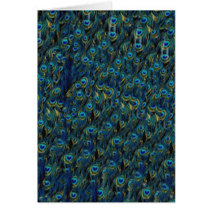 Papier peint vintage Pretty Peacock Bird Feaths