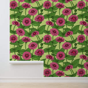 Papier Peint Zinnias roses sur fond vert clair