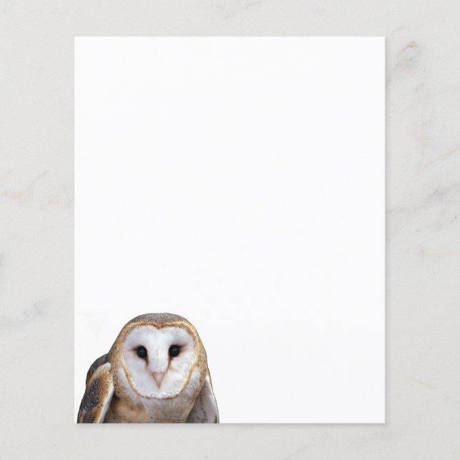 Papier photo Barn Owl (Devant)