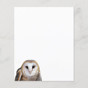 Papier photo Barn Owl