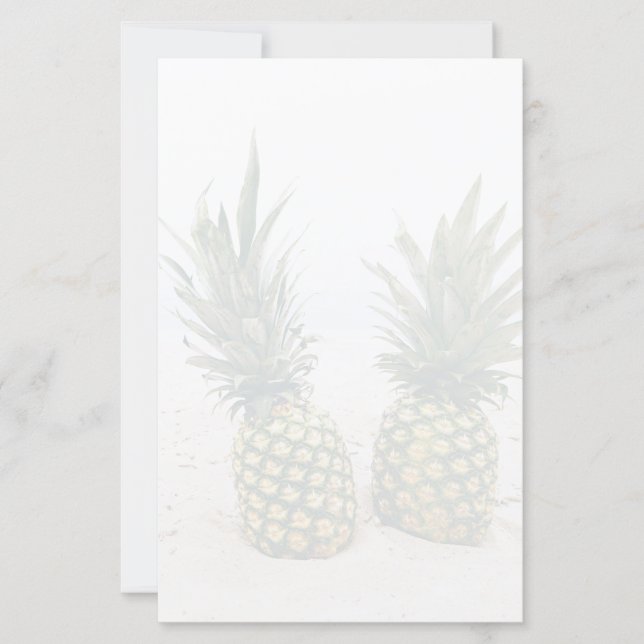 Papier Photo de 2 ananas sur une plage (Devant)