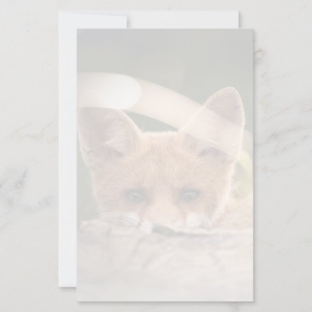 Papier Photo de Cute Little Orange Fox (Devant)