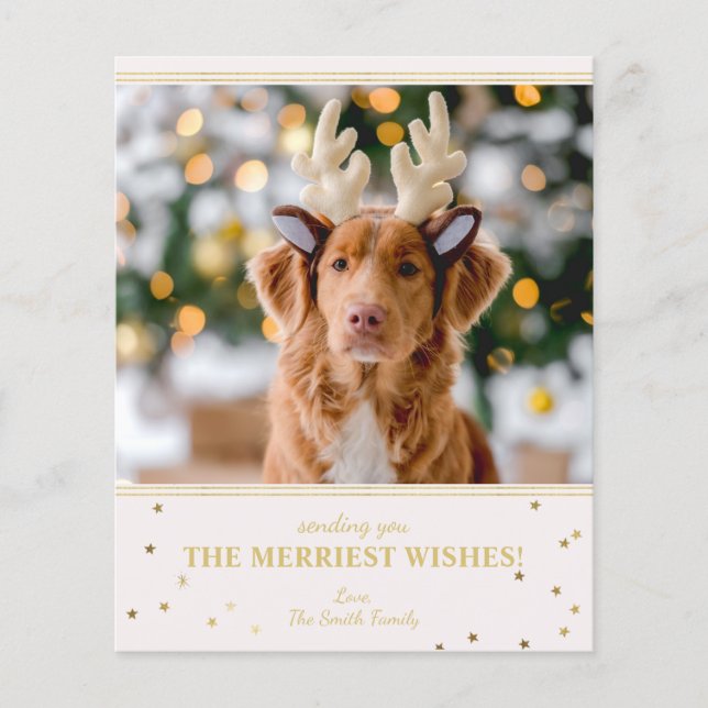 Papier Photo de Noël Budget (Devant)