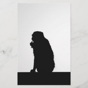 Papier Photo de silhouette de singe faisant la soie denta