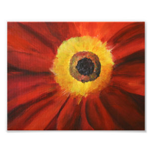 Papier Photo Kodak Art Fleur Rouge Jaune