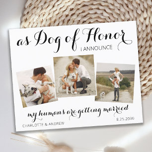 Papier Photo Personnalisée Collage Chien Enregistrer Les