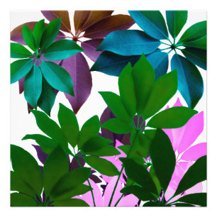 Papier photo professionnel Feuille vert et rose