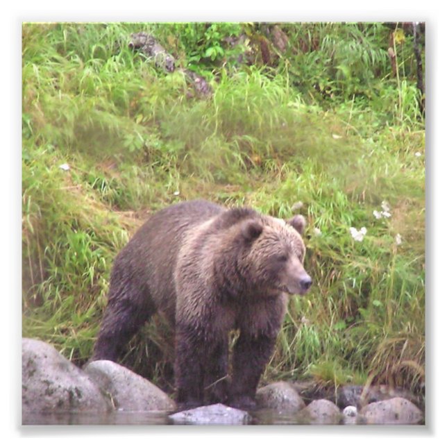 Papier photo professionnel Kodak 6 x 6 (satin) (Devant)