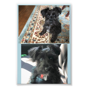 Papier photo professionnel Kodak (Satin)